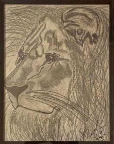 Framed pencil drawing of tiger