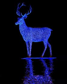 The Lomangate stag at night